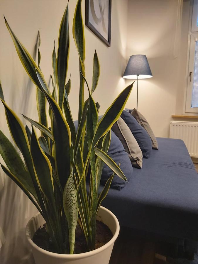 Apartament Na Wyspie Ополе Екстер'єр фото